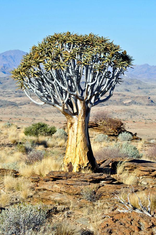 Namibs Valley Lodge Gamsberg Pass 외부 사진